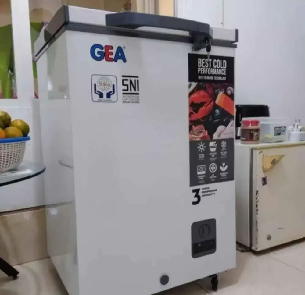 Freezer Box Gea 100 Liter Normal