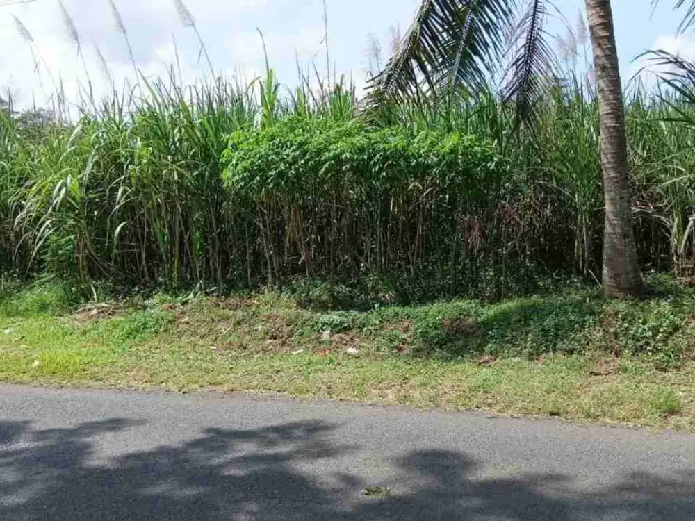 Tanah di Pinggir Jalan Raya Bendo Tajinan Malang
