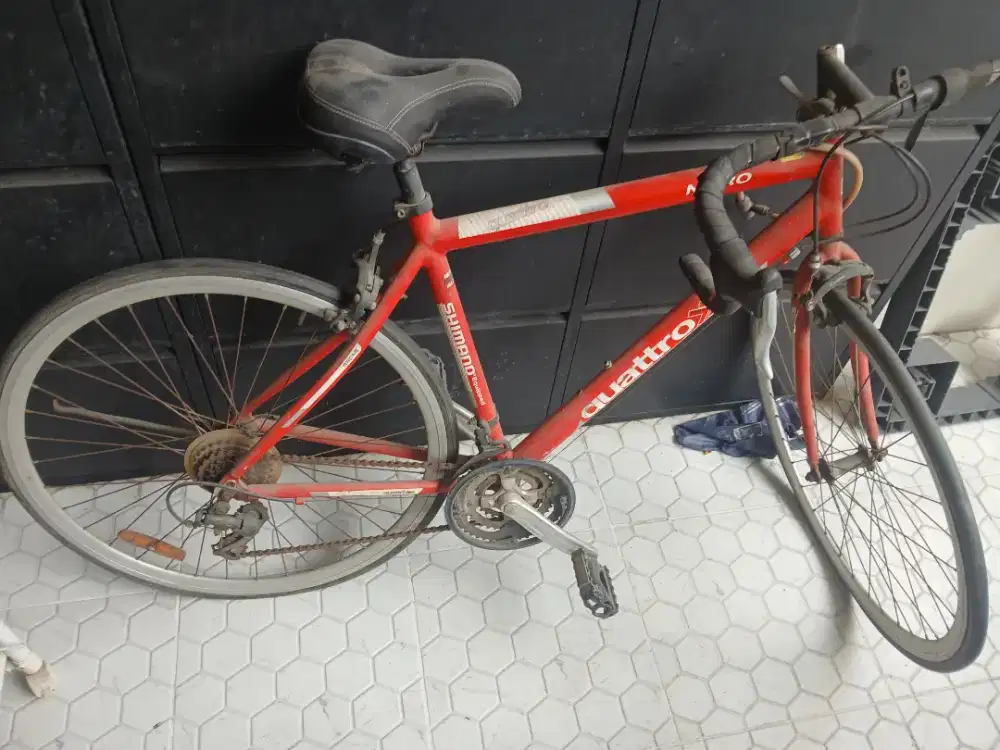 Roadbike Shimano