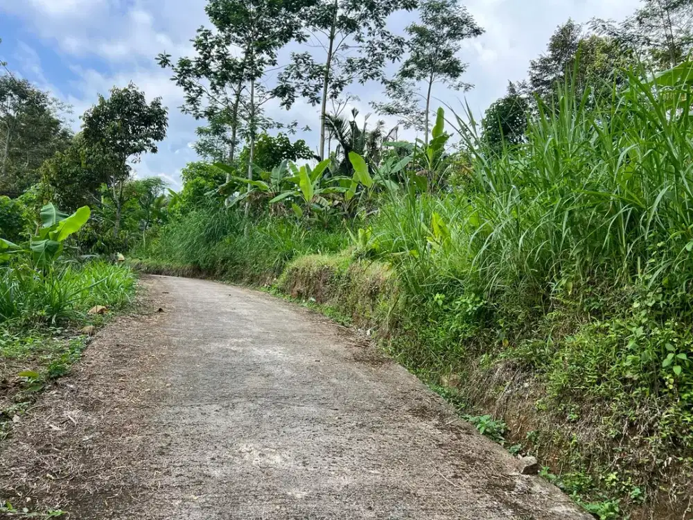 Tanah 275 Juta Udara Dingin Karanganyar