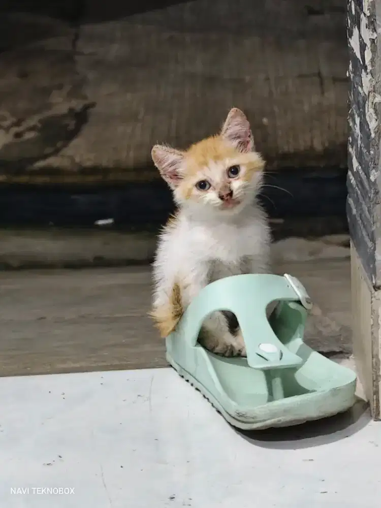 Di cari untuk teman dinas luar kota