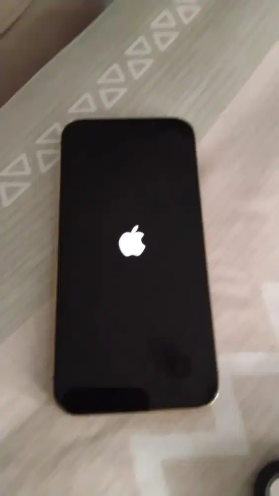 Iphone 13 promax