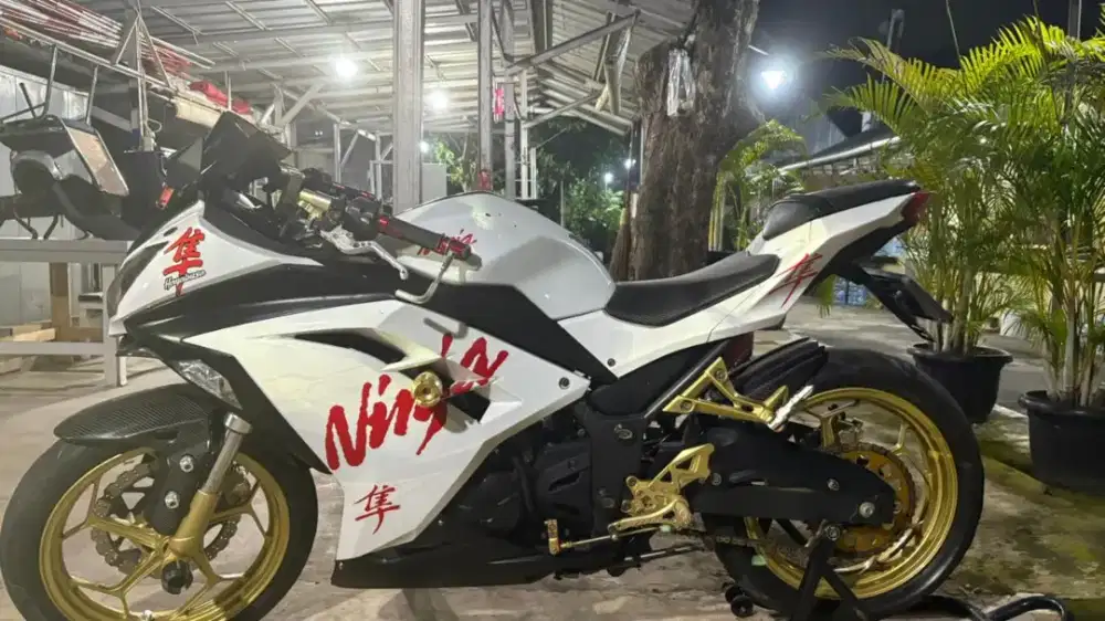 Ninja fi 250 cc