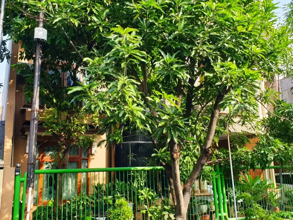 DIJUAL RUMAH RUNGKUT ASRI TIMUR