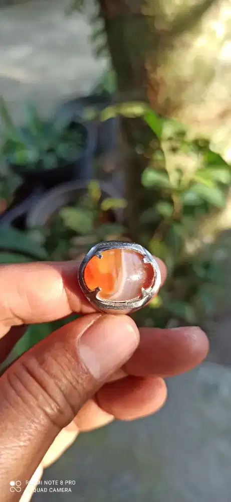Cincin batu suleman madu