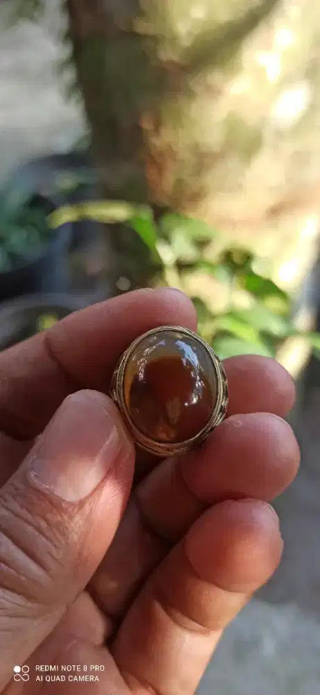 Cincin batu suleman madu