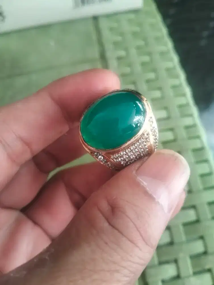 Bacan palamea Plong