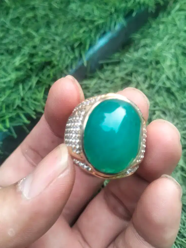 Bacan palamea plong