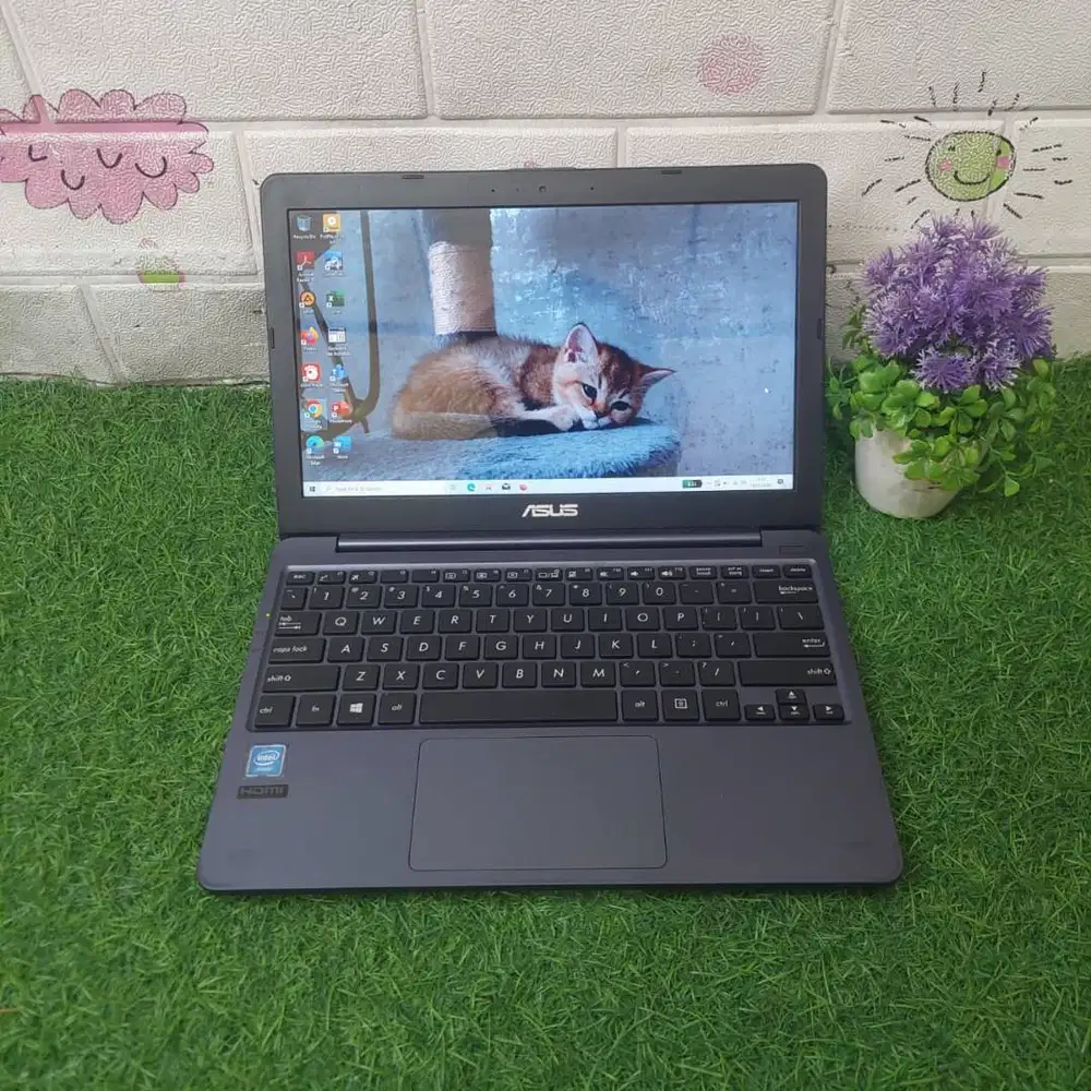 ASUS E203M INTEL CELERON N4000 RAM 2GB SSD 128GB