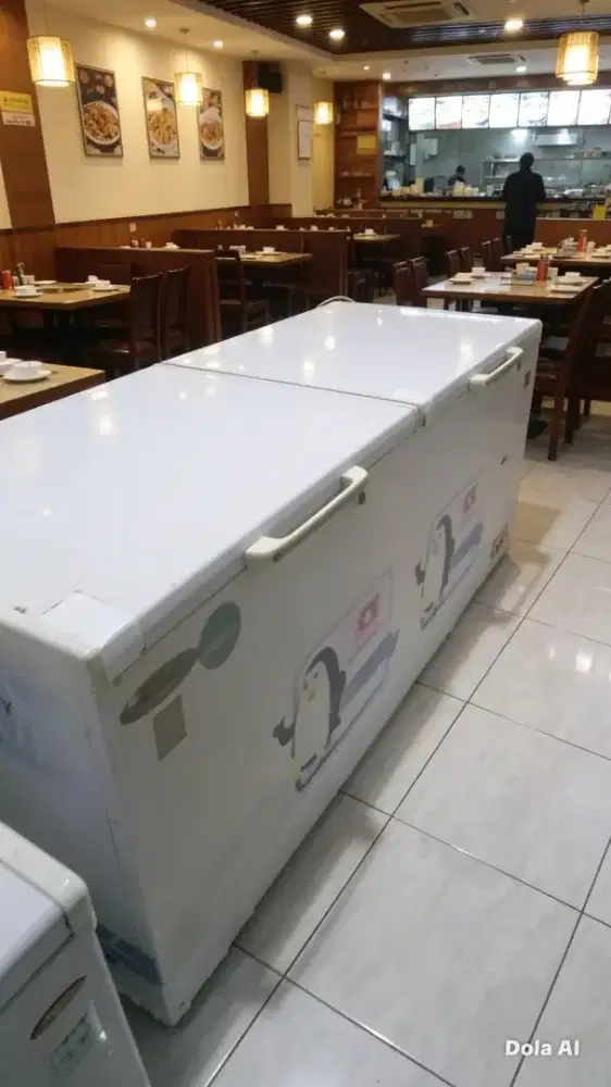 freezer box 600L