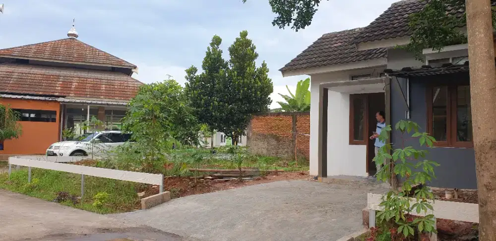 Disewakan rumah beserta kebun