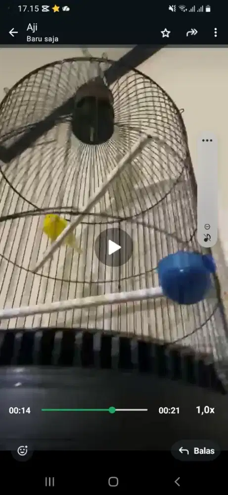 Kenari af gacor