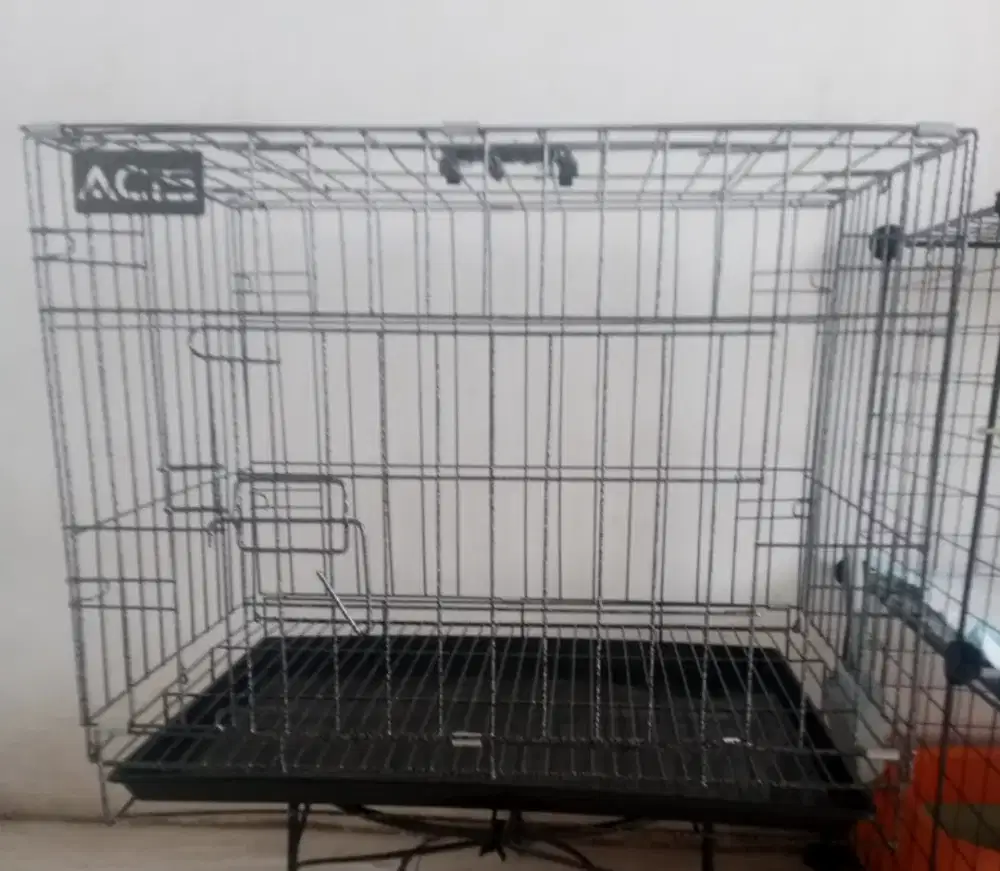 kandang kucing ukuran -+50