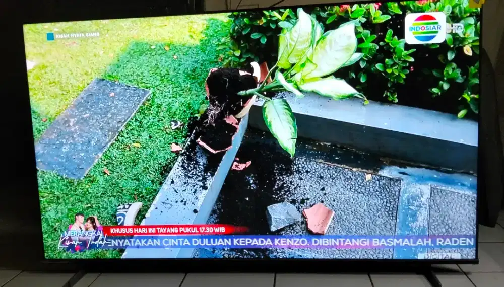Tv hisense 65 inch normal nominus