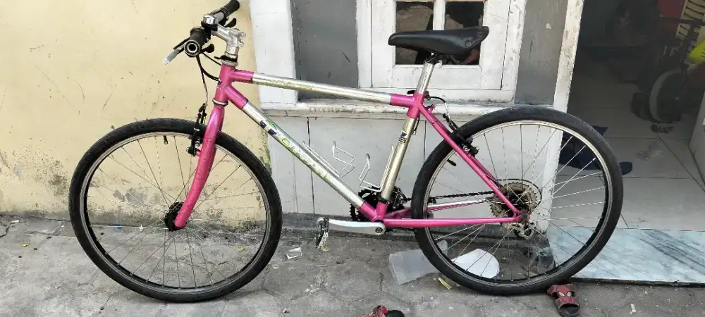 SEPEDA MERK TOKAI MONGGO