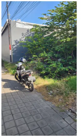 Tanah di Pulau Moyo Denpasar