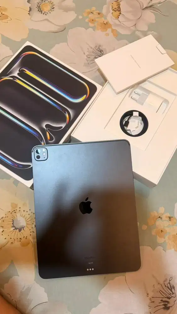 Ipad Pro 13 inch 256gb M4 Wifi