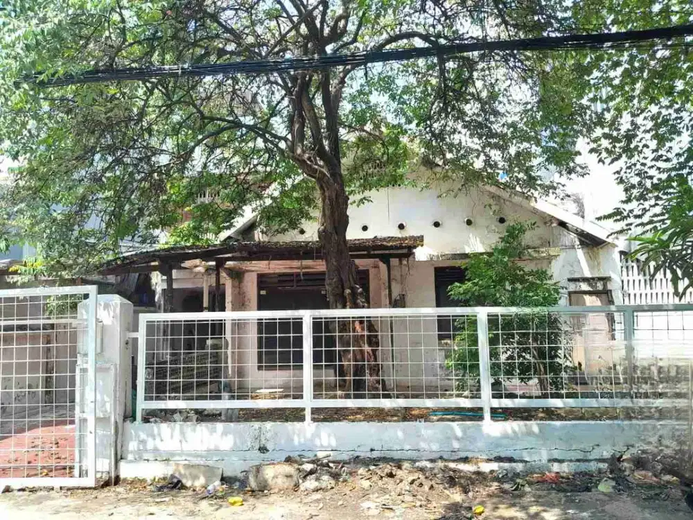 Jual Rumah Hitung Tanah di Setiabudi Luas 296m² SHM