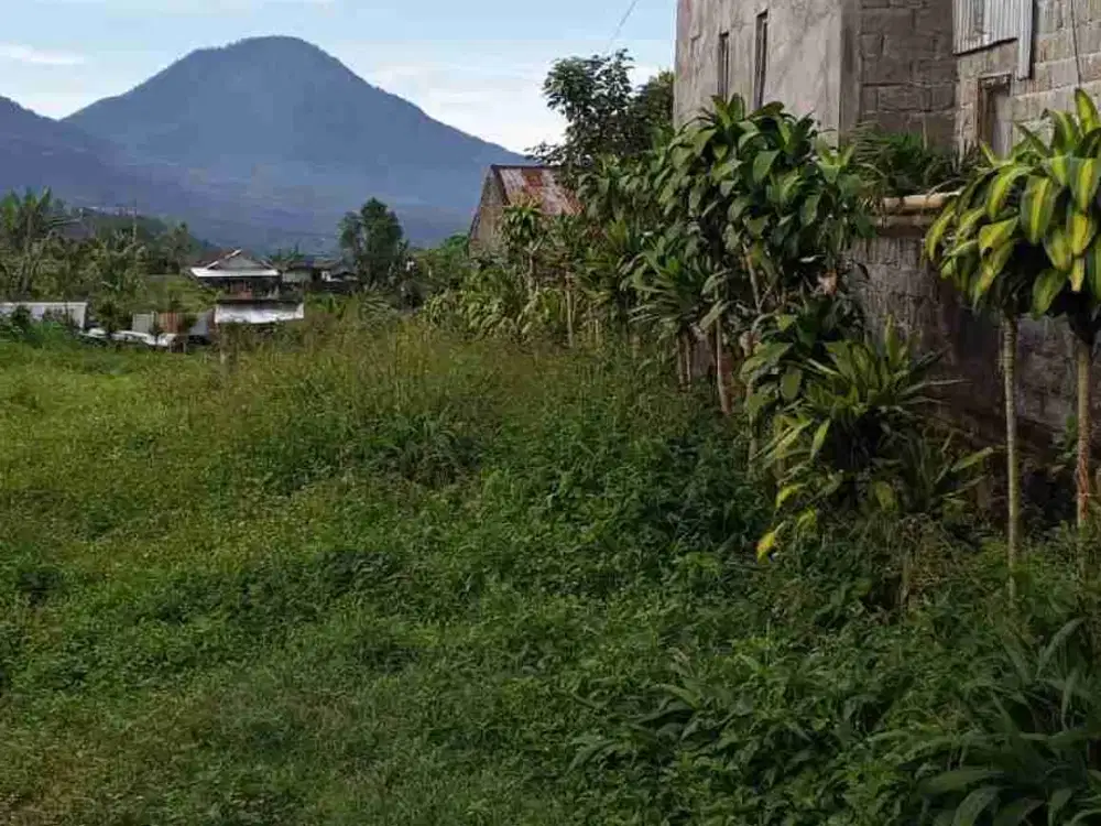 Tanah Strategis Kawasan Villa dan Glamping Buleleng