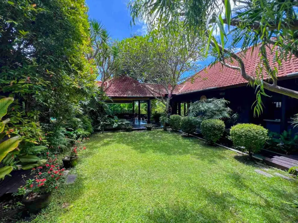 Tanah Bonus Villa View Sawah di Umalas Kerobokan 920m2