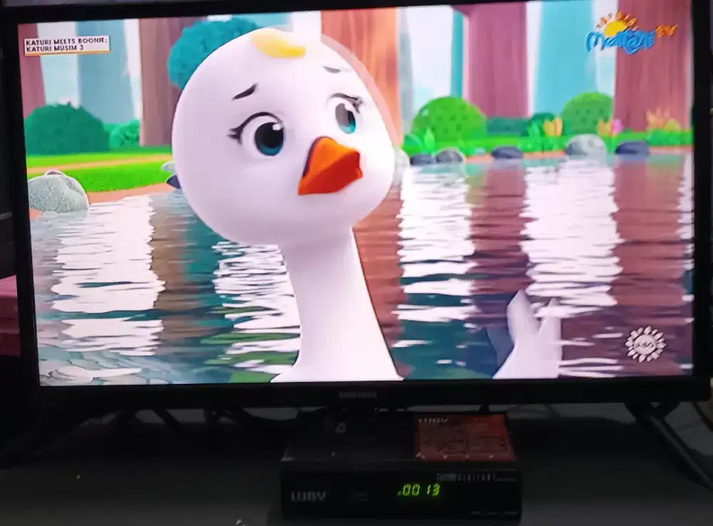 led samsung 24inch analog