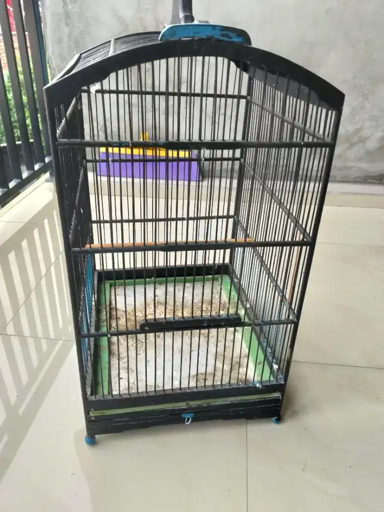 Sangkar burung minimalis bekas