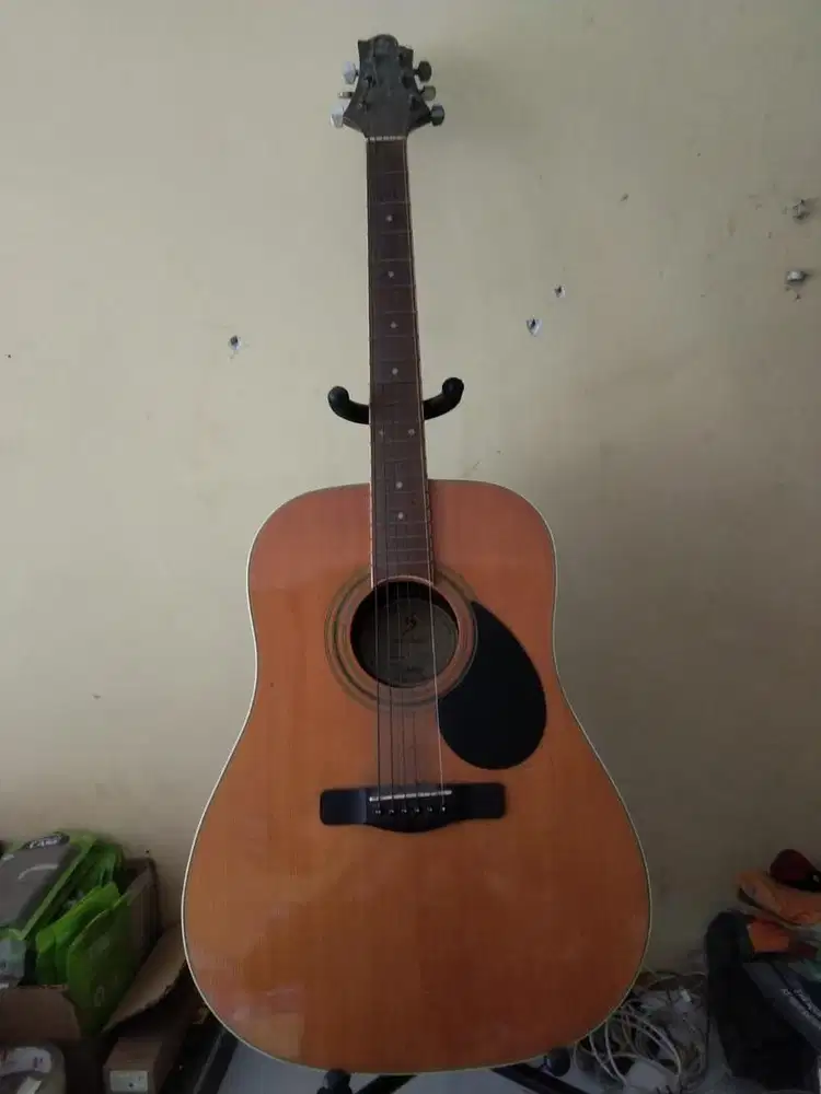 Gitar Greg Bannet DS 100PK/N limited edition original PL
