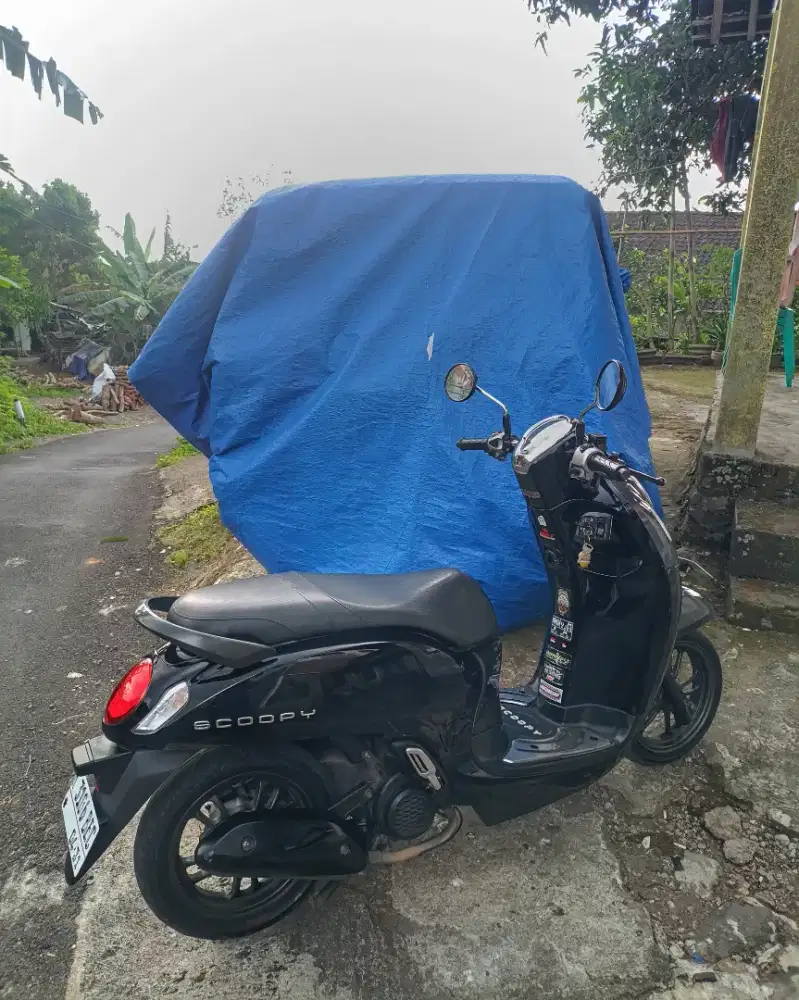 Scoopy jual murah saja