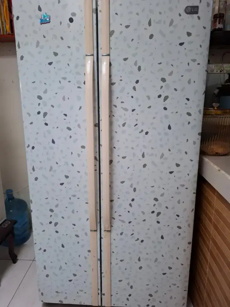 Kulkas big 2 pintu LG