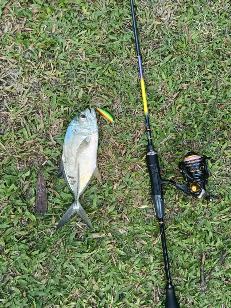 Jual joran dan reel