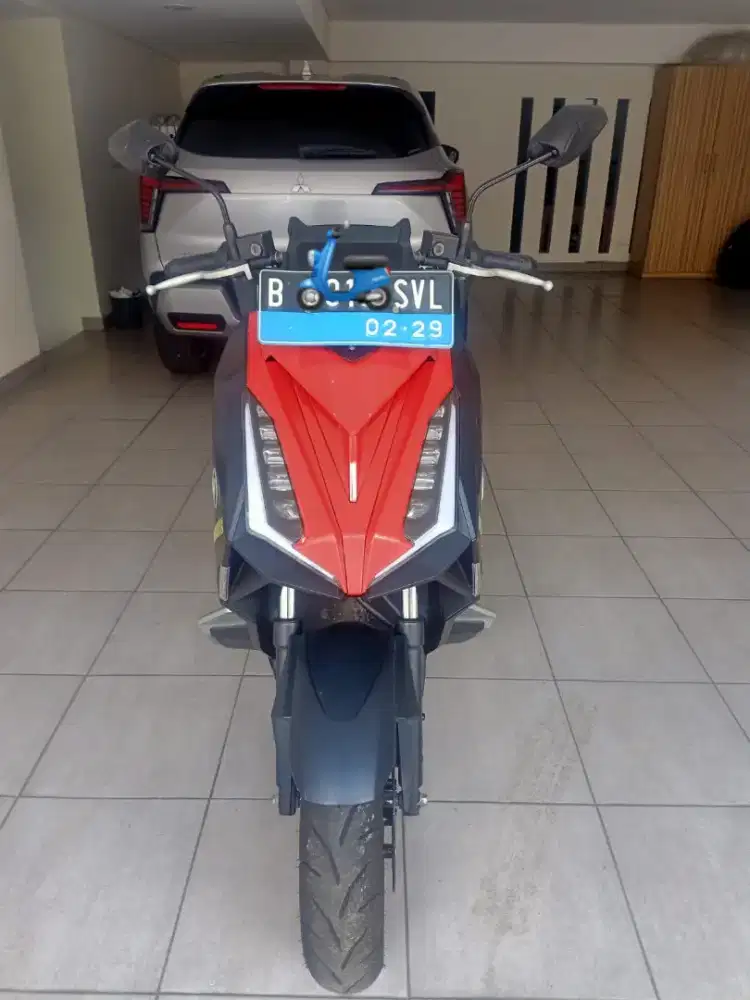 ALVA CERVO 2023