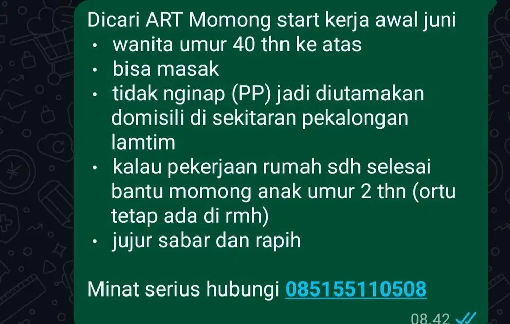 Dicari ART beberes + momong