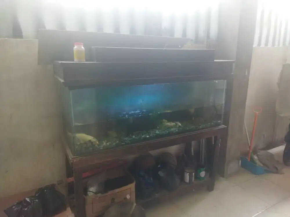 Jual aquarium bekas