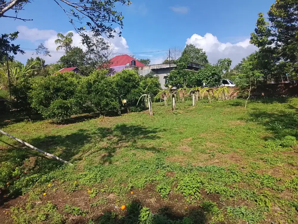 Dijual tanah +- 300m an