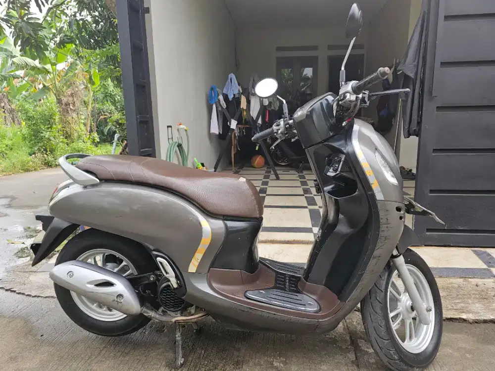 Scoopy stylish 2021