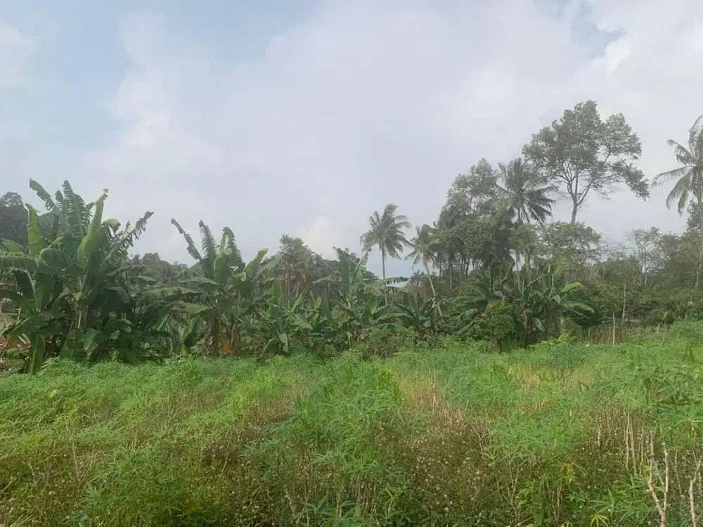 Tanah kavling murah 200m
