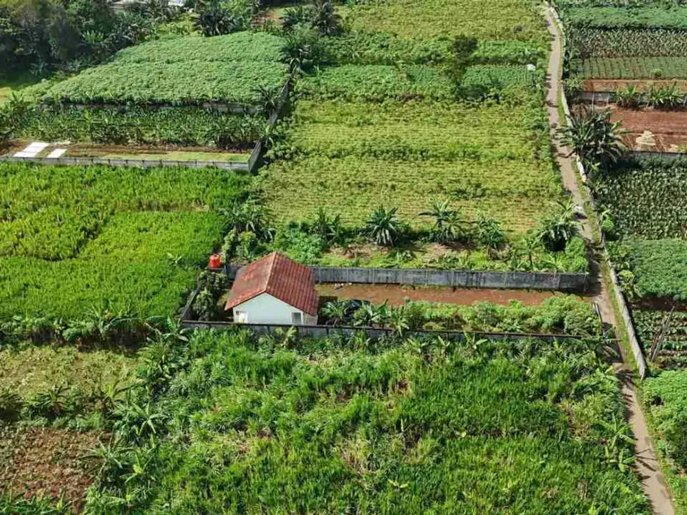 Rumah Villa pekarangan luas ,sejuk udara pegunungan di Sentul ,sebelah Sentul city Bogor