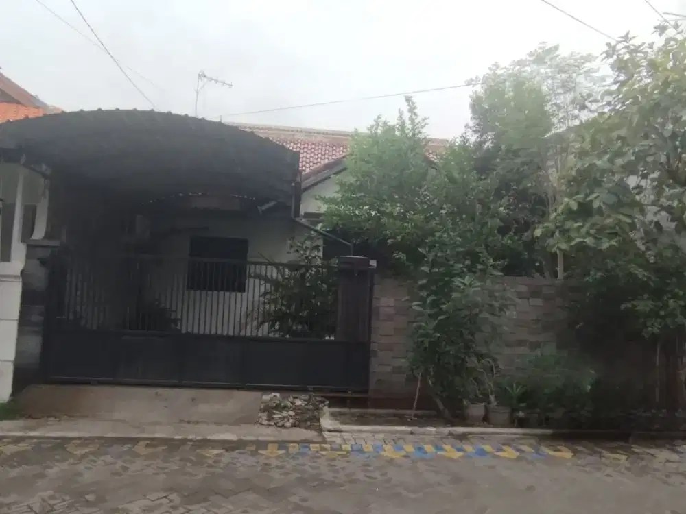 Dijual Rumah Murah Butuh Cepat Laku Siap Huni Di Kalikepiting Tambaksari Dekat Kampus UNAIR Surabaya