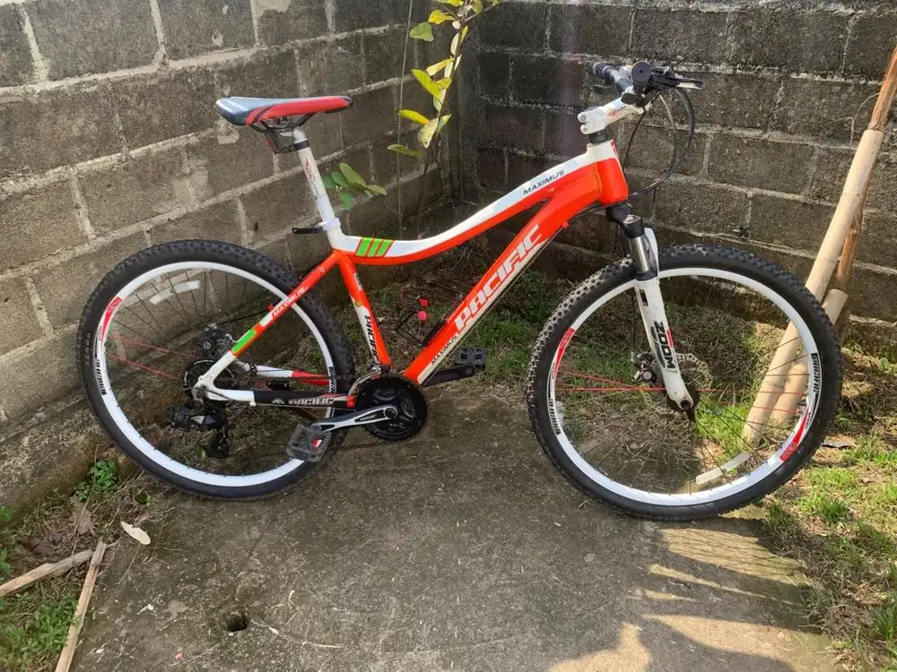 Mtb 26 Pacific maximus Alloy