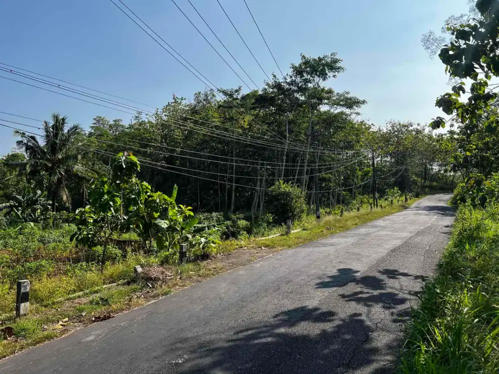 Jual tanah pinggir jalan raya pantai selatan Gunungkidul murah shm strategis