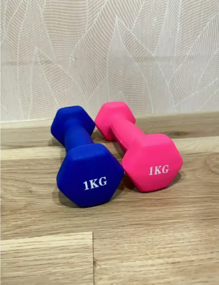 Barbell Besi Vynil 1kg Warna