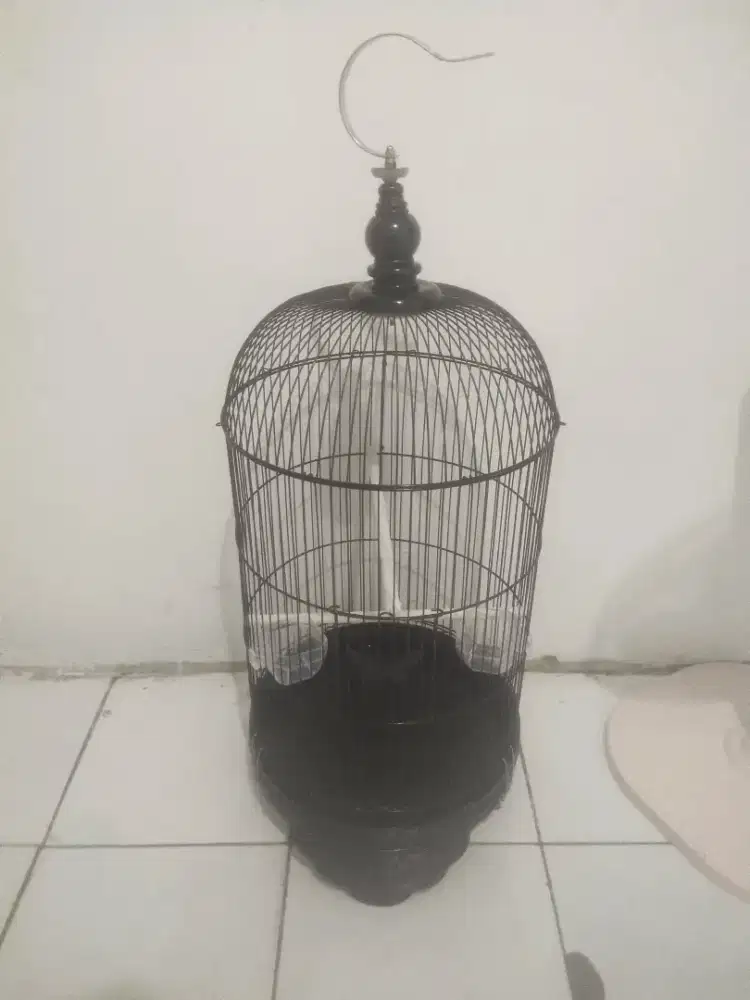 Kandang kapsul Lovebird
