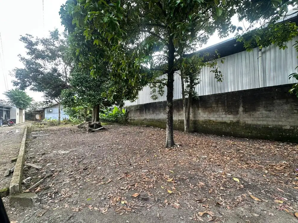 Di jual Tanah Buat Kontrakan