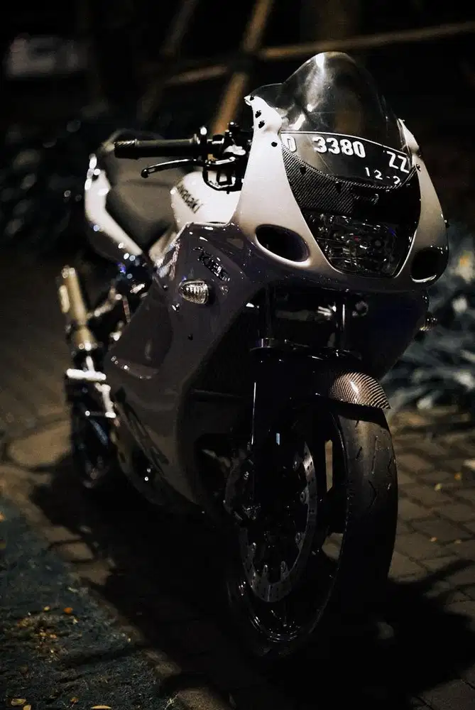 kawasaki ninja rr 2011