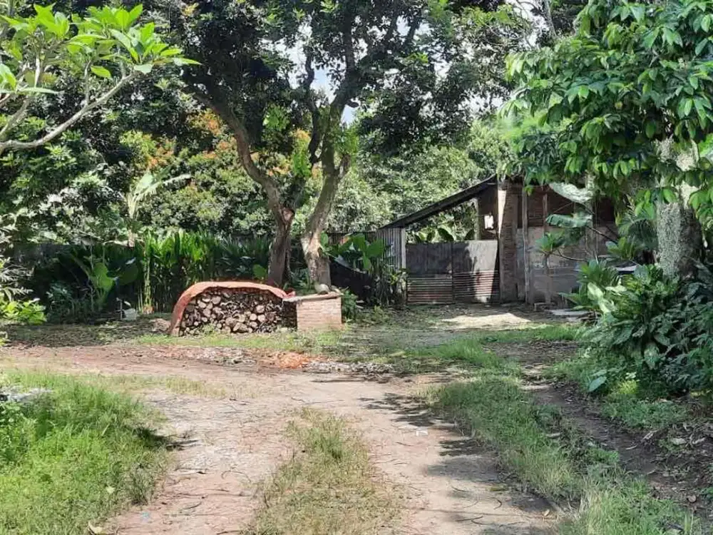Disewakan Lahan Eks Workshop Furniture di Jalan Raya Rumpin Cisauk – Cocok untuk Banyak Usaha