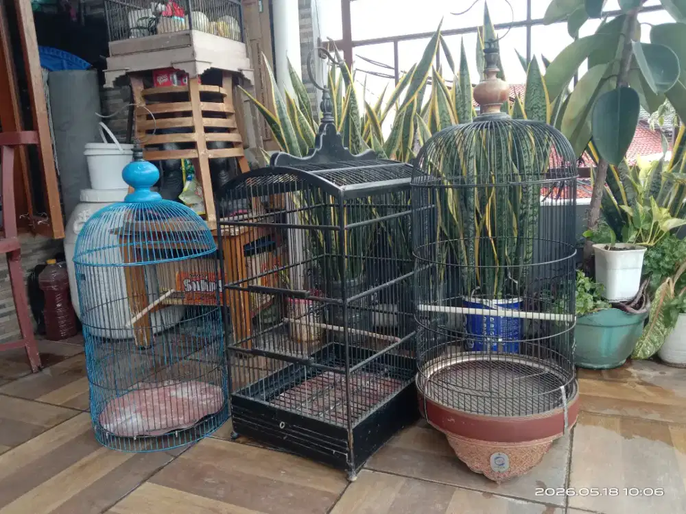 Ega ganteng siap dijual atau di barter