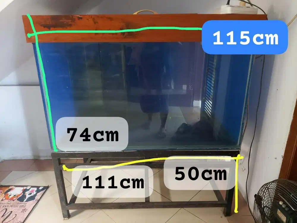 Aquarium Ikan Rumahan