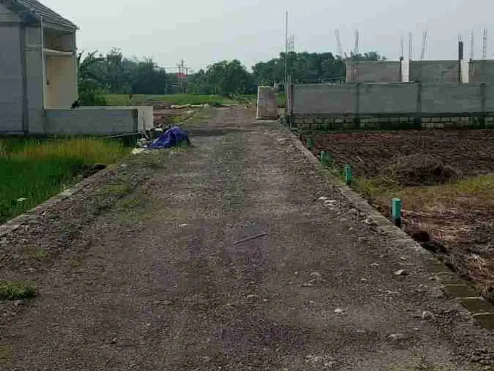 saya jual tanah siap bngun promo dibawah pasaran harga pasaran 45jtan saya jual 38jta cash keras free surat2nya,lokasi di gluran ploso perbatasan kec. cerme dari benowo surabaya barat sekitar 18 menit nyampek.