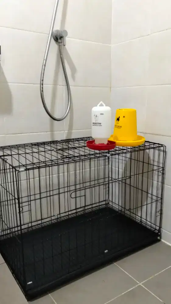 Sale kandang bekas anak ayam