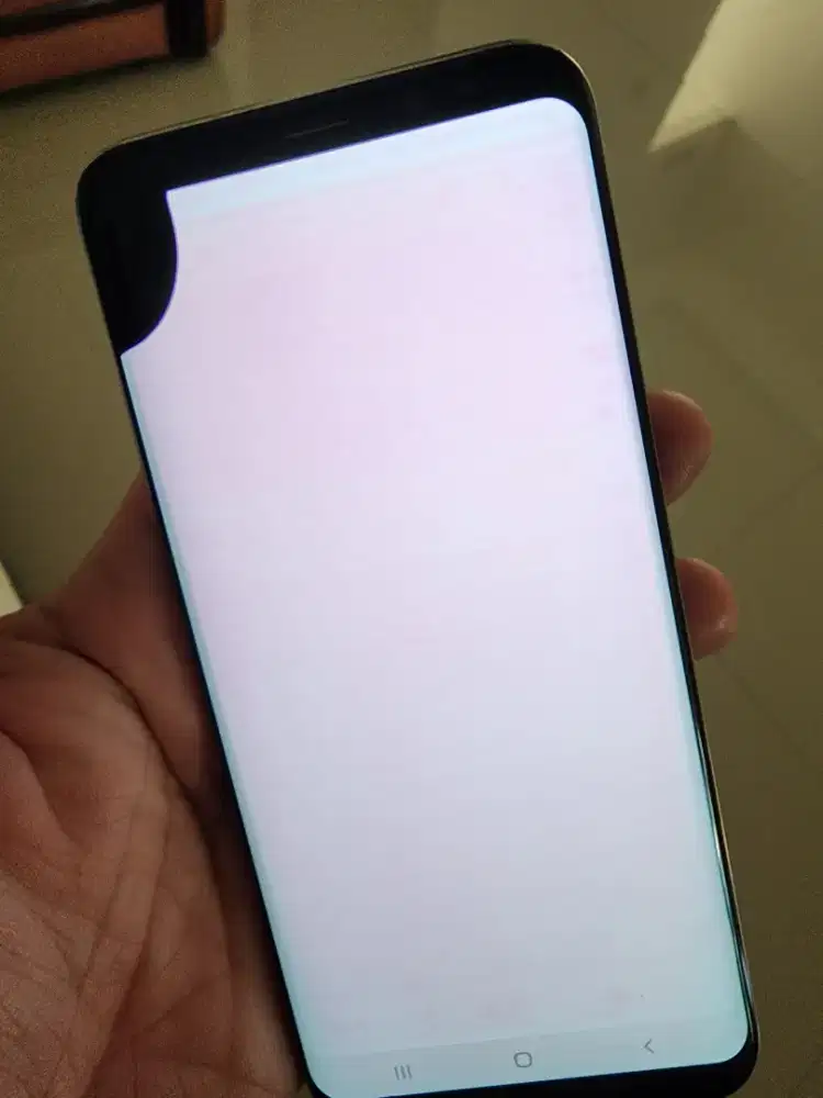 Samsung S8 Plus S8+ Tompel Sein